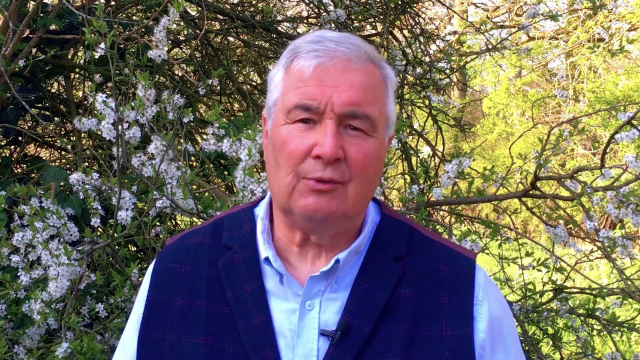 Barry Hook's horse training and carriage driving videos