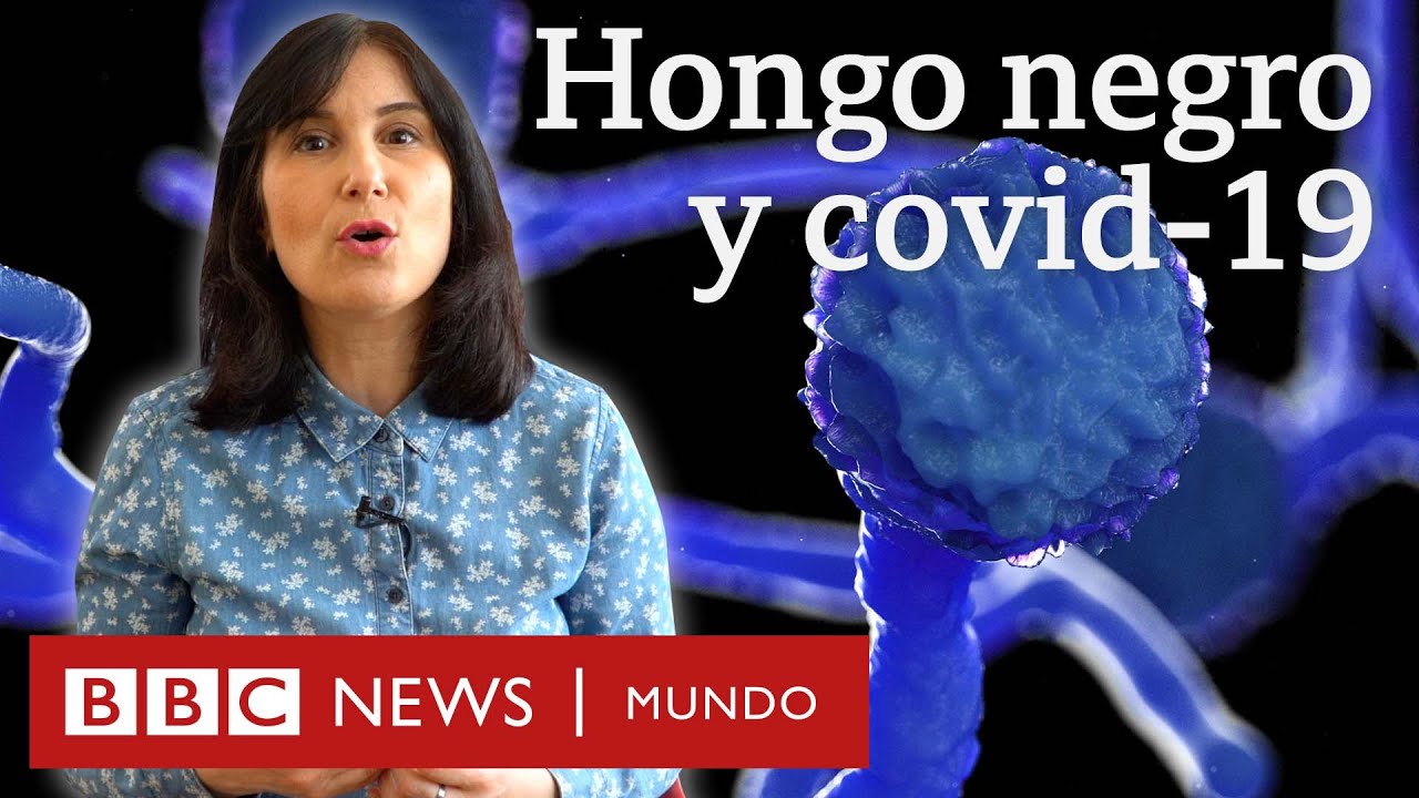Hongo negro: 5 preguntas sobre la rara infección fúngica que ataca a pacientes de covid-19 en India