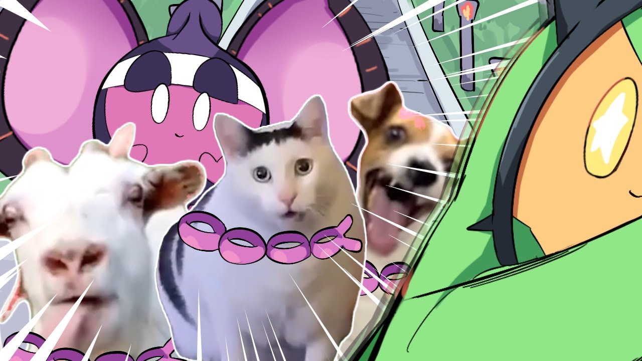 猫ミームと化したともっこ達