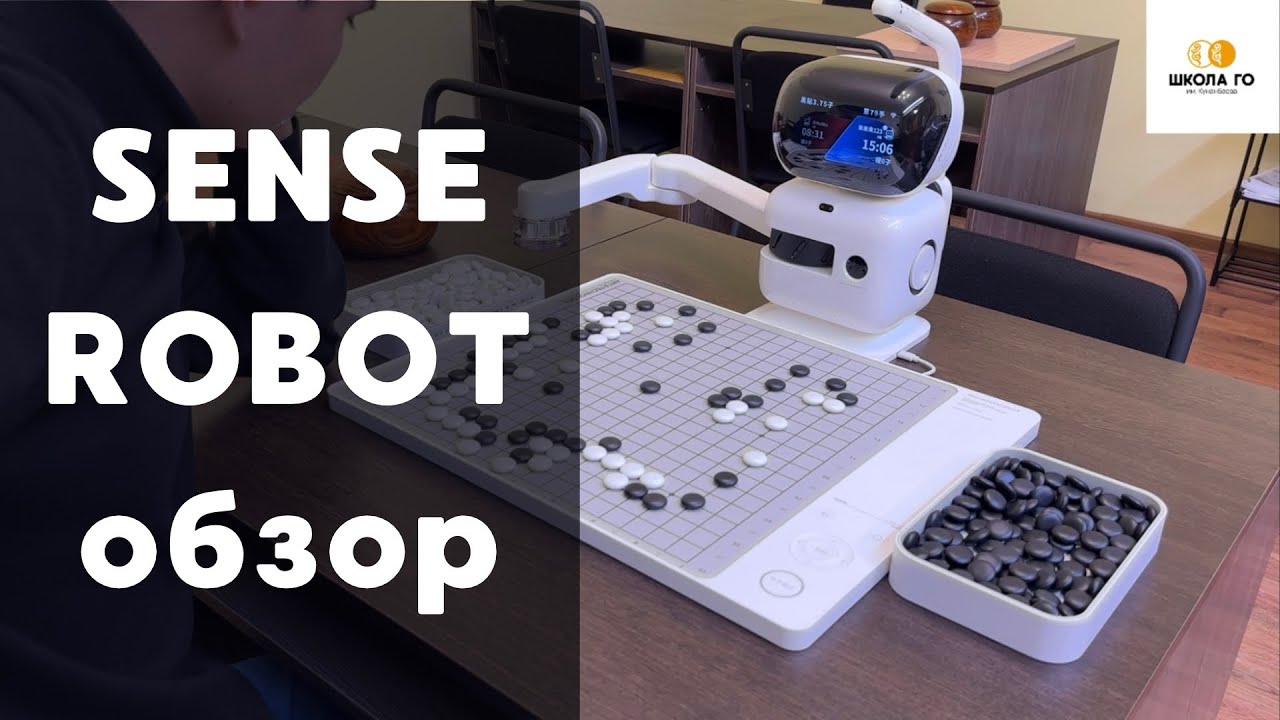 Обзор SenseRobot Go. AI robot для игры и обучения в Го. Weiqi. Baduk. Go game