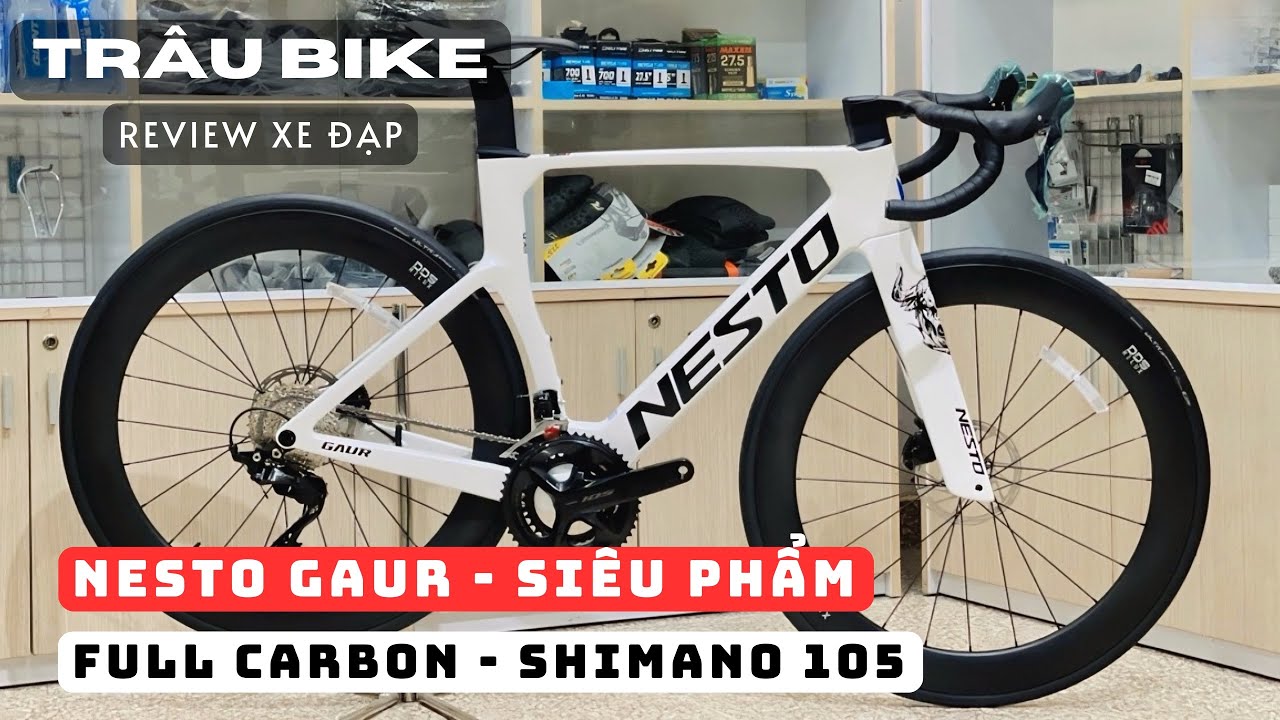 SIÊU PHẨM NESTO GAUR THIẾT KẾ HẦM HỐ - TRÂU BIKE