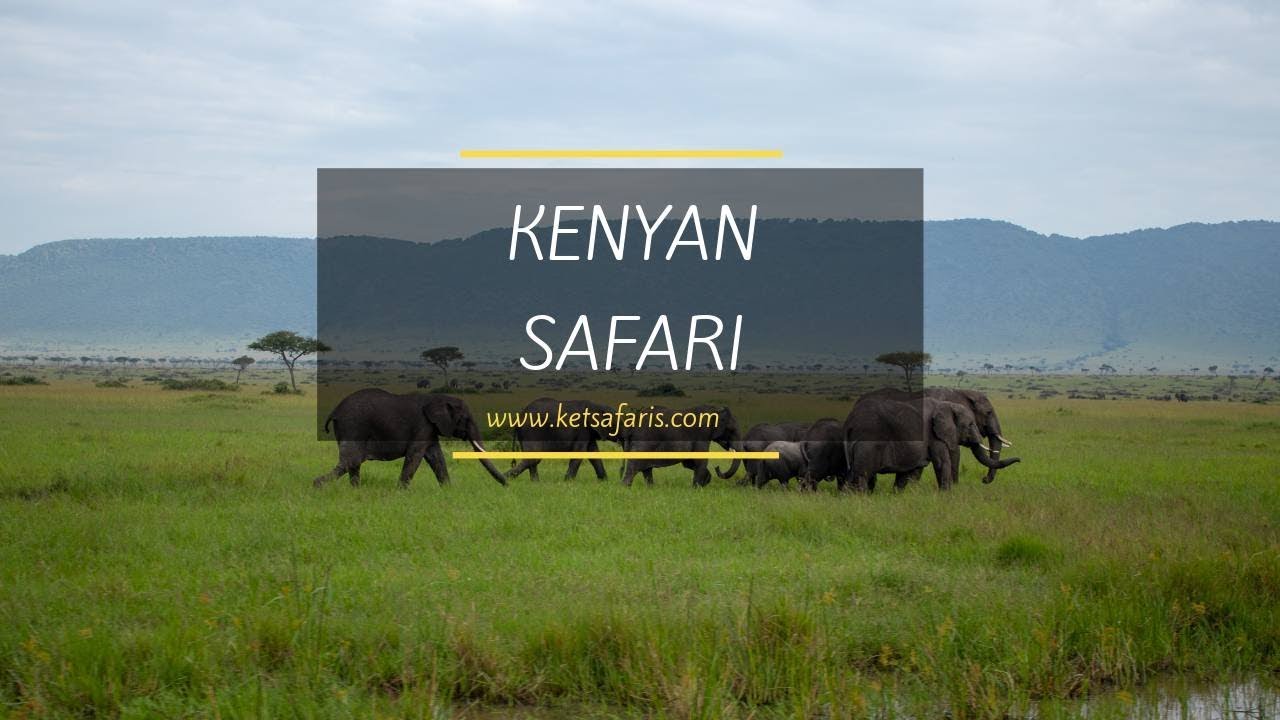 Kenyan Safari