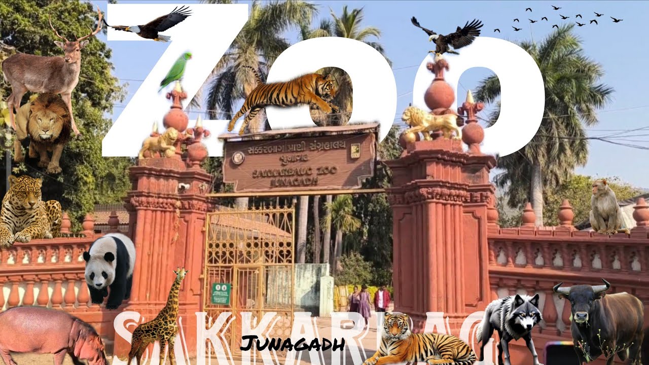 Sakkarbag Zoooo..❤️🦕🐆🦏🐘II @Yashu Vlogs_26  #viral #zoo #love #edit #day#vlog #candy #dosti #loveu