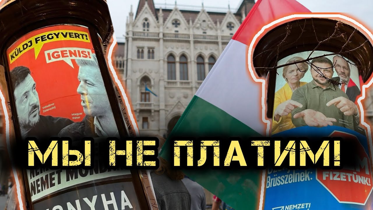 Зеленский избирается в Венгрии? Шок-плакаты в Будапеште
