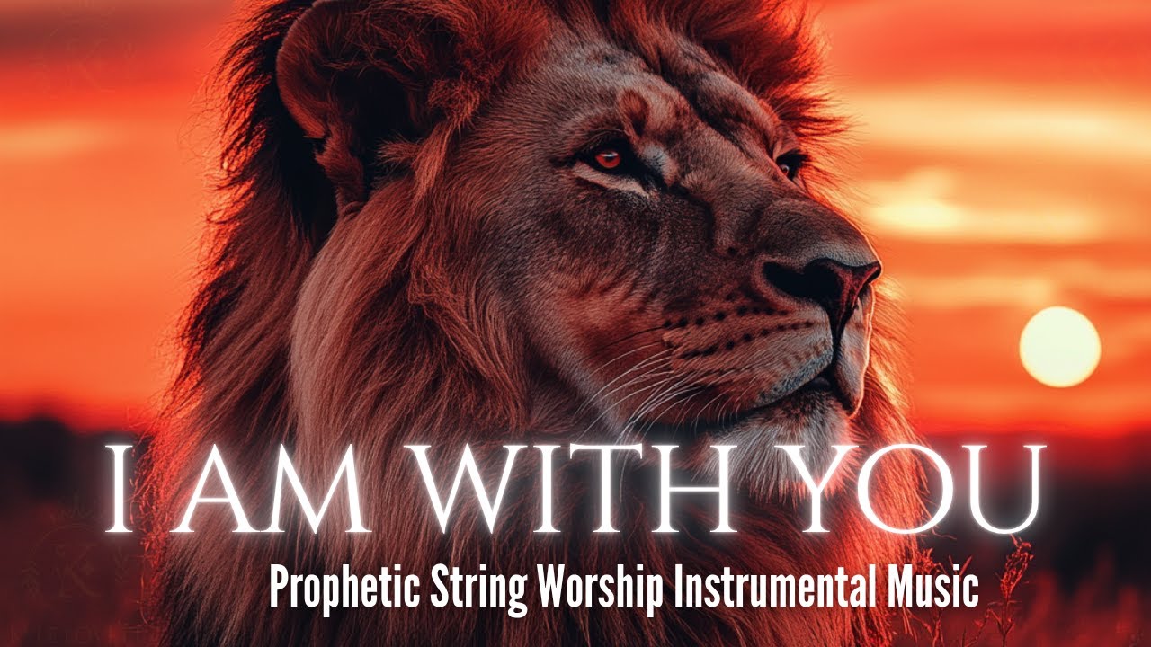 Prophetic Worship Instrumental | Meditation | Study | Prayer | Intercession