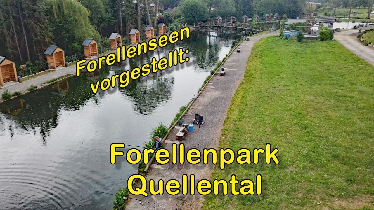 Forellenseen vorgestellt - Forellenpark Quellental