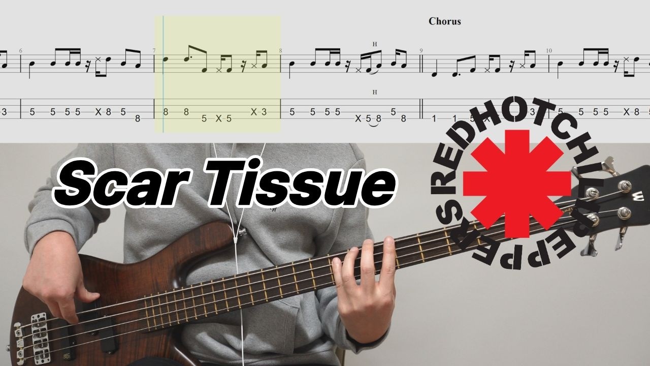 베이스 실력 다지기 필수 연습 곡!│RED HOT CHILI PEPPERS - Scar Tissue│★★★☆☆│BASS TAB│악보