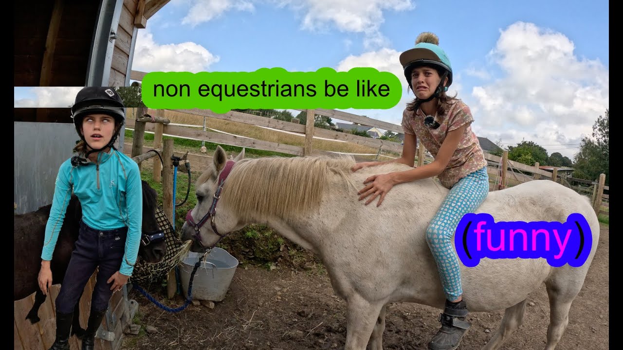 NON EQUESTRIAN BE LIKE!!(FUNNY) ~ PART 1 ~ EQUESTRIANS VS NON EQUESTRIANS ~ CRAZY EQUESTRIAN!!!