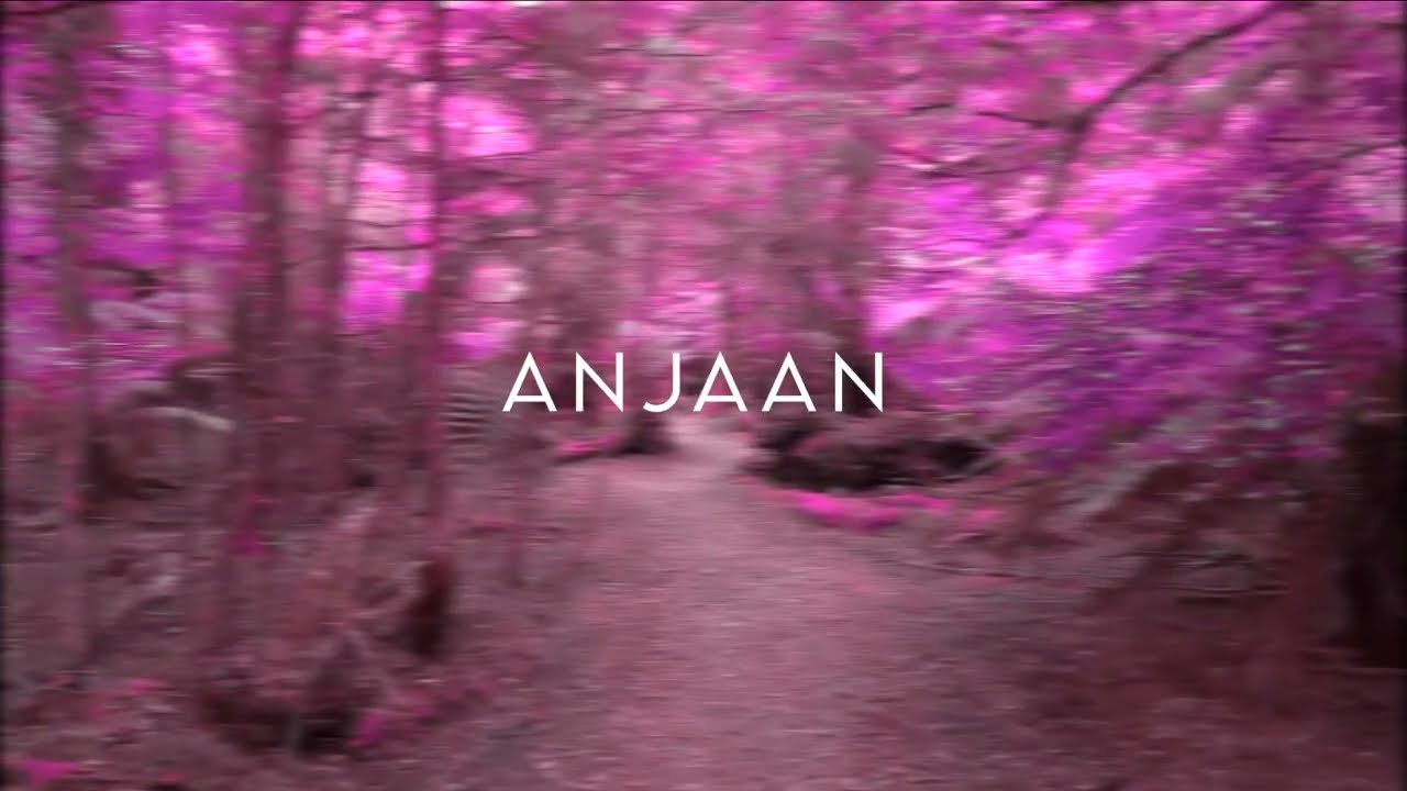 Anjaan | Ysid | Official lyrical video