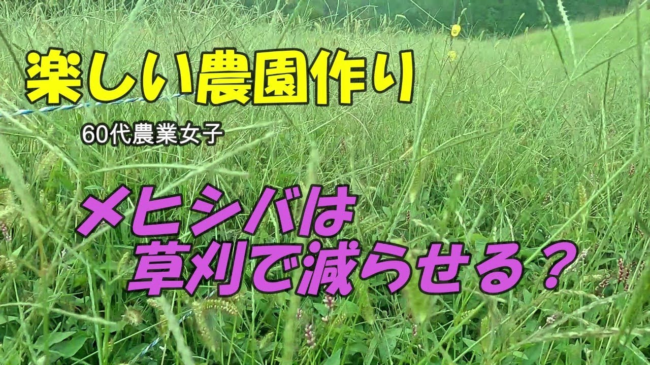 【楽しい農園作り】メヒシバは草刈りで減らせる？/電気柵周辺/ニンニク植付