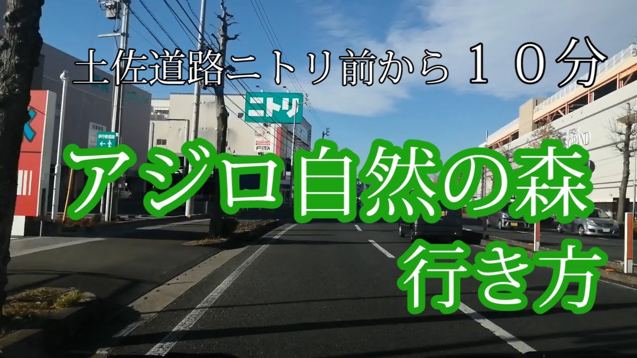 【ココハレ】アジロ自然の森(高知市朝倉)への行き方
