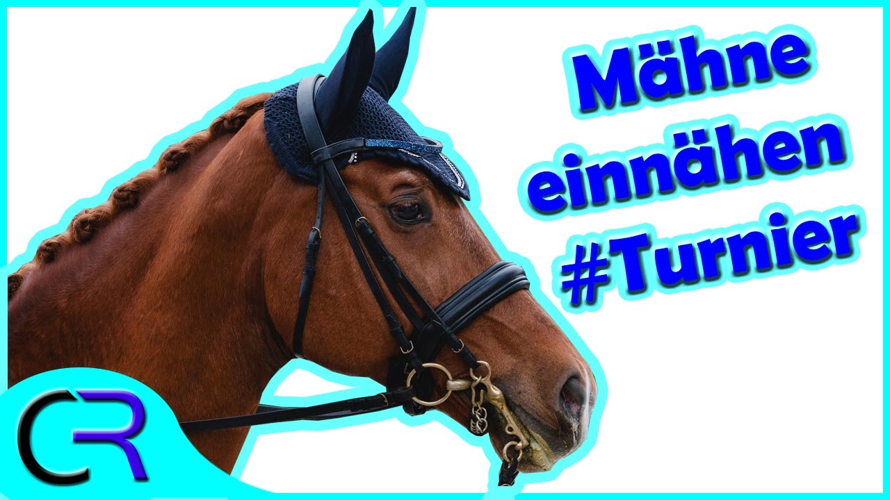 Mähne einnähen + schnelle Variante #Turnier