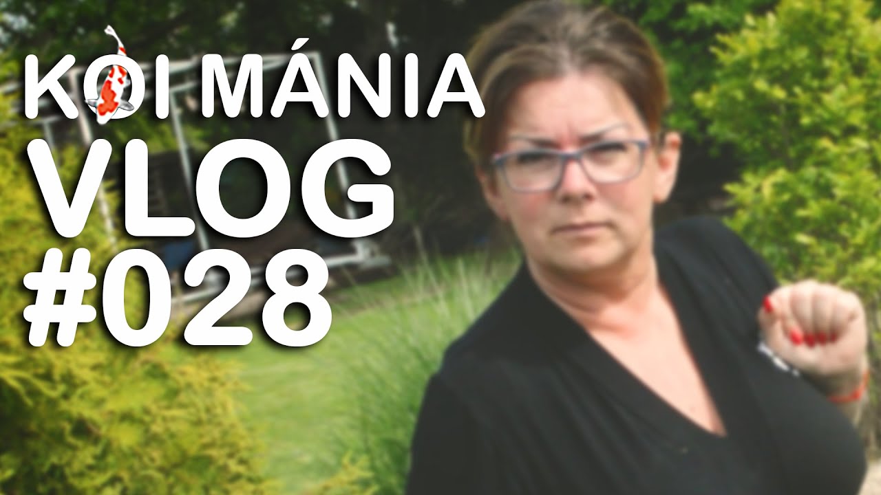 Koi Mánia VLOG#028 - Tótakarítás, tanácsok EXTRA