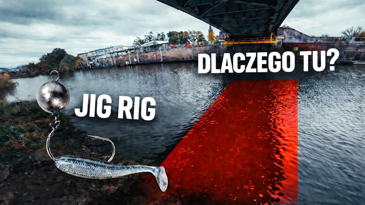 JIG RIG BEZ TAJEMNIC