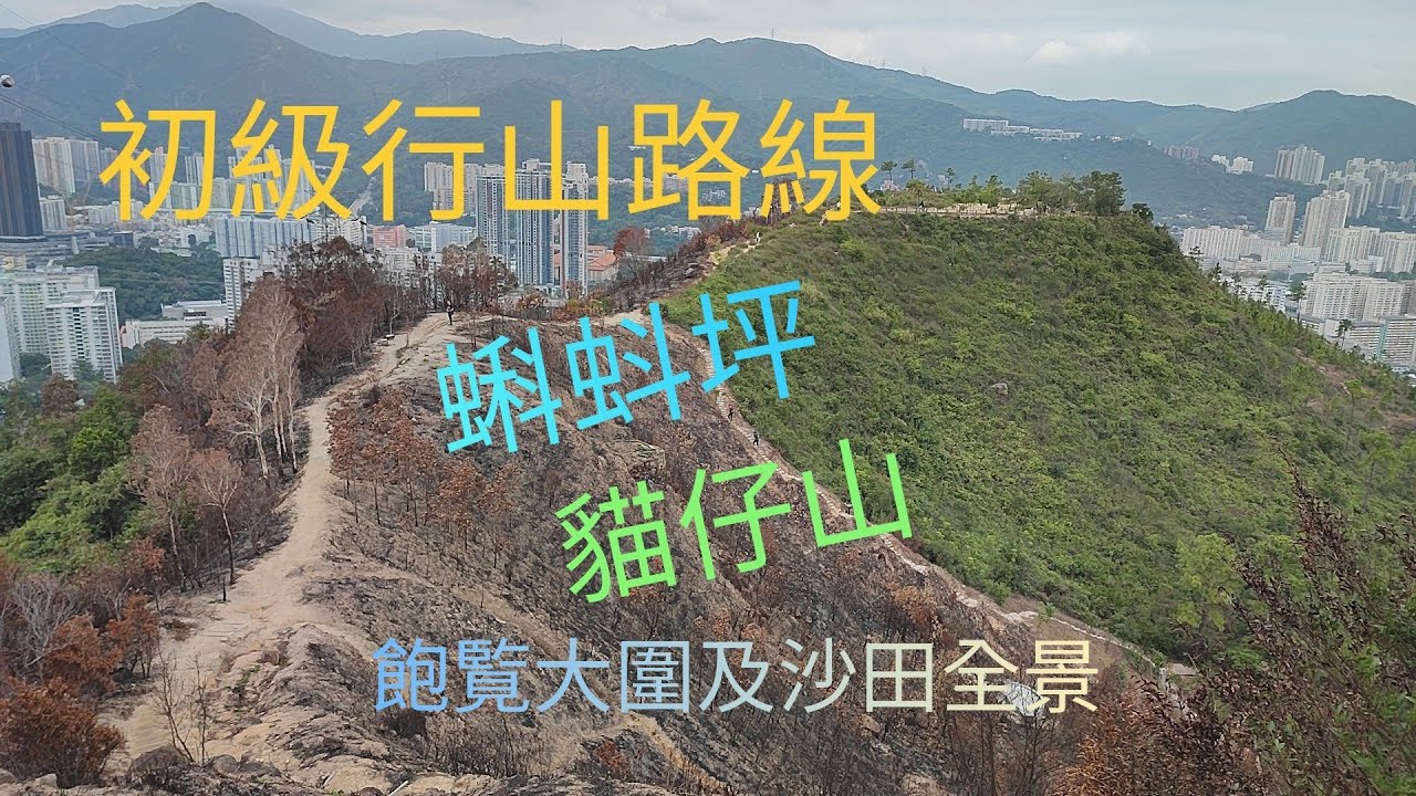 由蝌蚪坪上貓仔山落新田圍村可能係最輕鬆行山路線