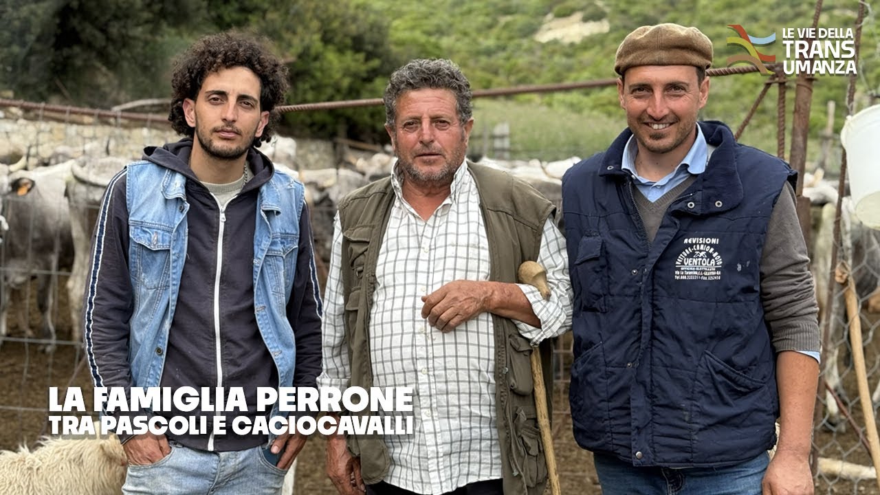 La famiglia Perrone: tra pascoli e caciocavalli