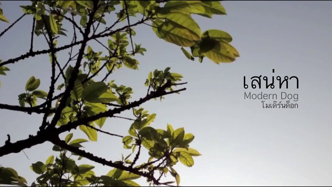 เสน่หา - Modern Dog (โมเดิร์นด็อก)