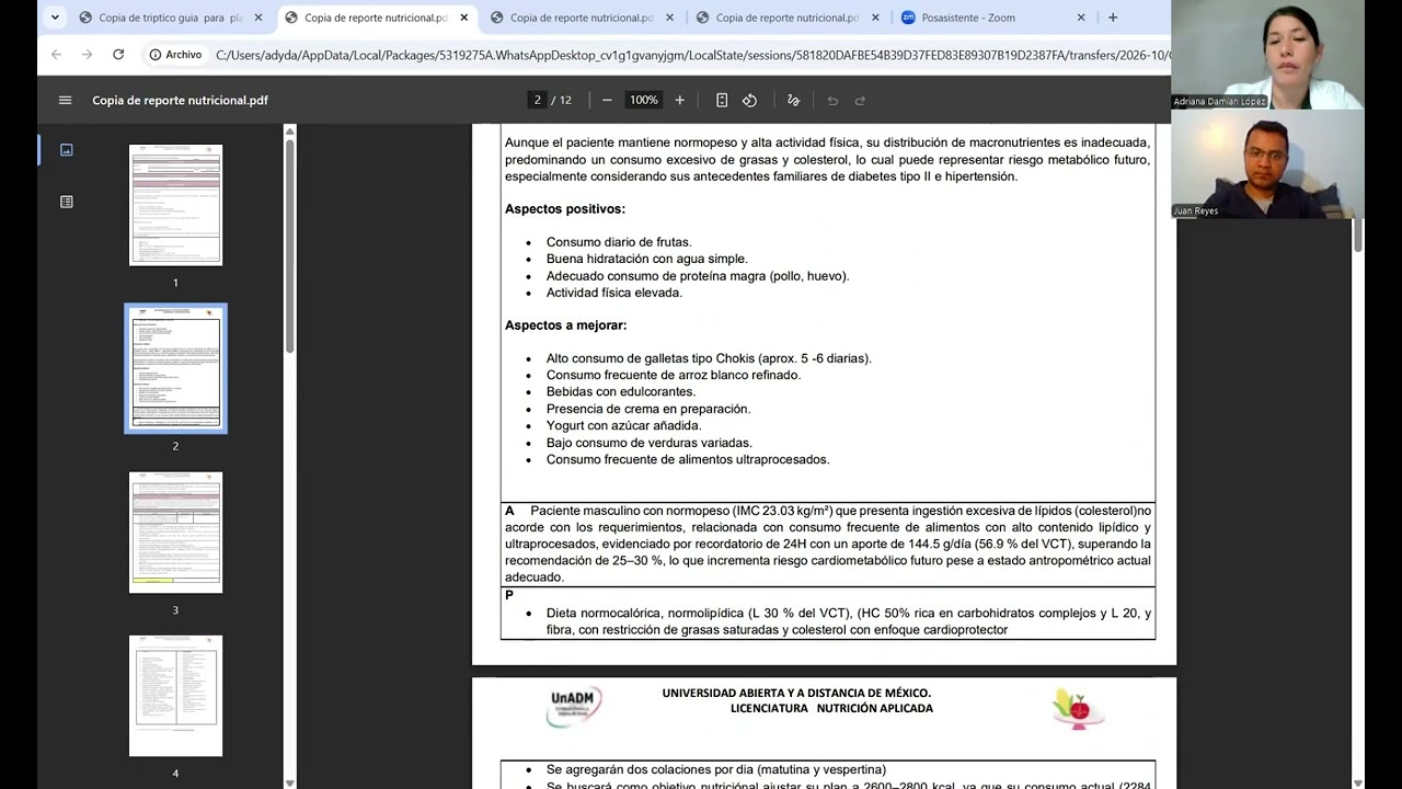 Consulta 2 de asesoría nutricional en lineal