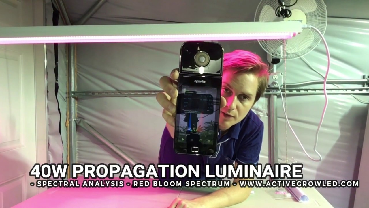 Active Grow 40W LED Grow Light Vs. T8 Fluo. 2-Tube Fixture For Microgreens, Clones & Tissue Culture