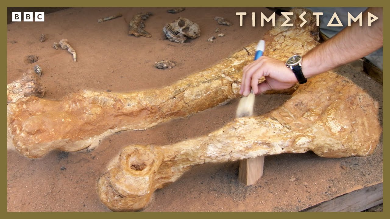 Unearthing The Bones of Greece&rsquo;s Ancient &lsquo;Giants&rsquo; | BBC Timestamp