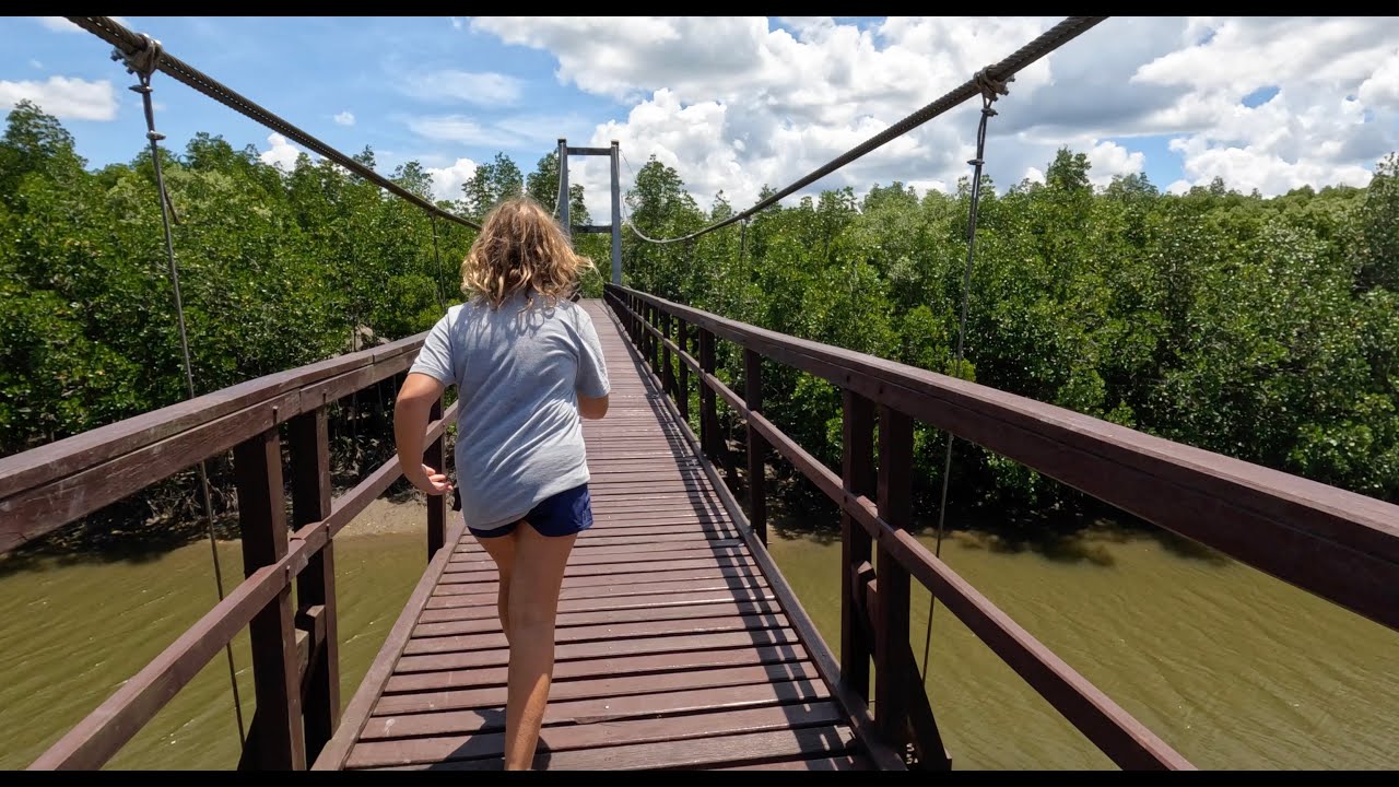 Self driving down the coast of Thailand: Discovering the mangroves of Mu Ko Chumphon National Park