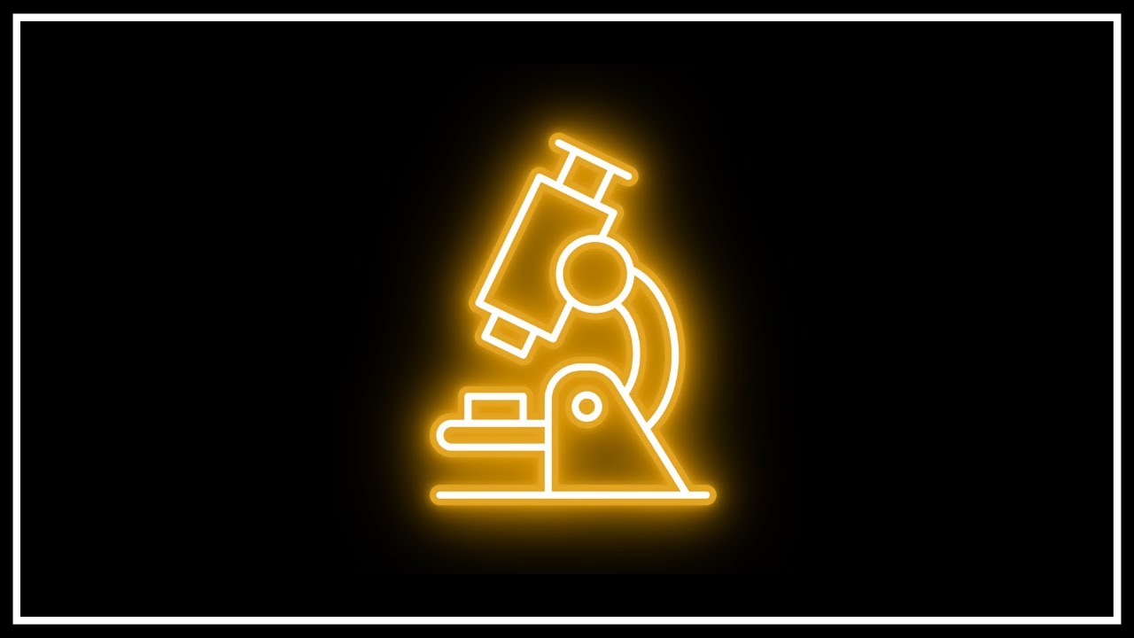 &iquest;Qu&eacute; son el m&eacute;todo y la metodolog&iacute;a?