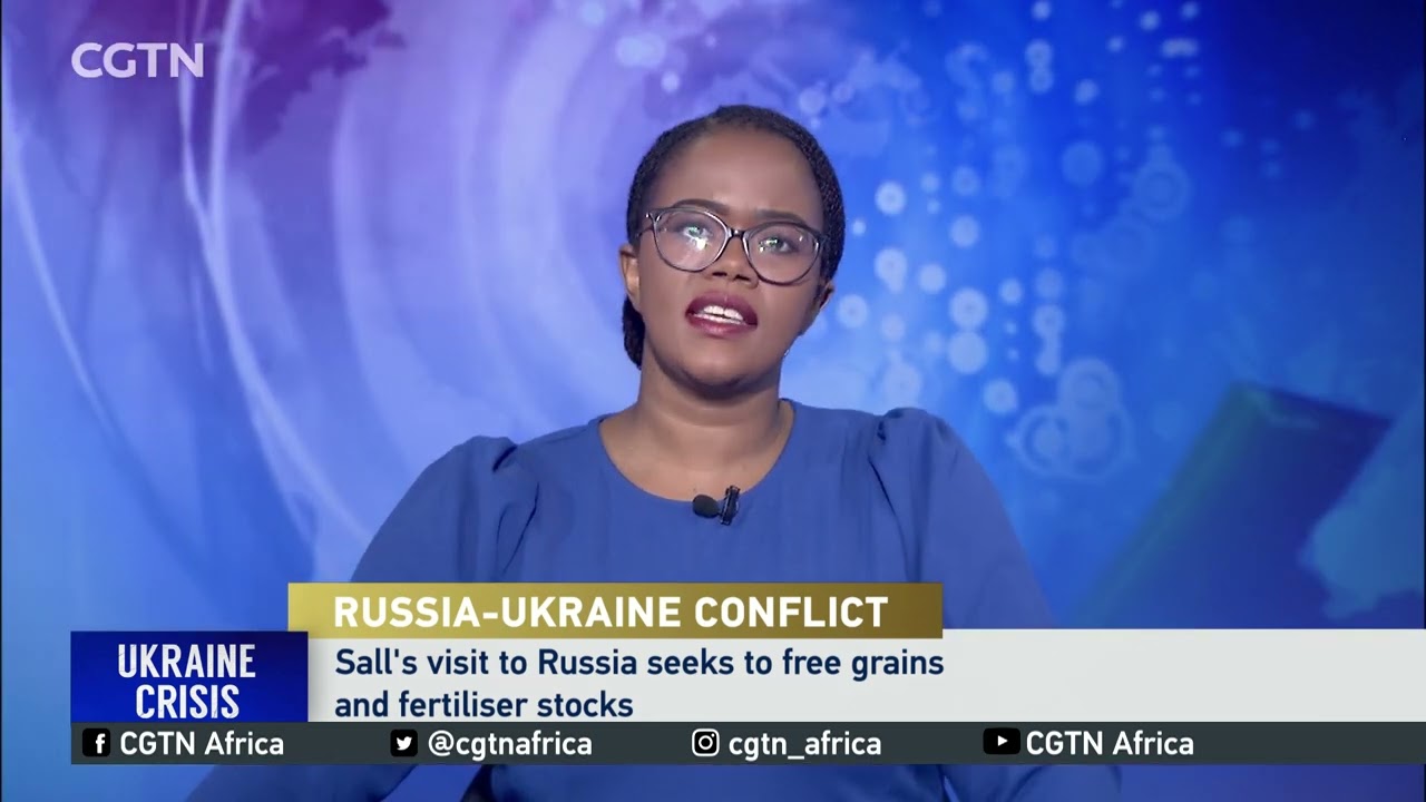 African Union diplomacy: the Russian-Ukraine conflict