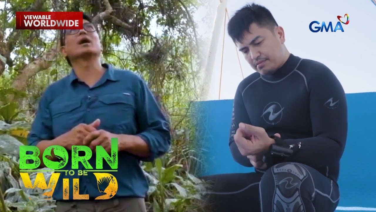 The life of Waterbirds and Sea Creatures | Born to Be Wild (Full Episode)