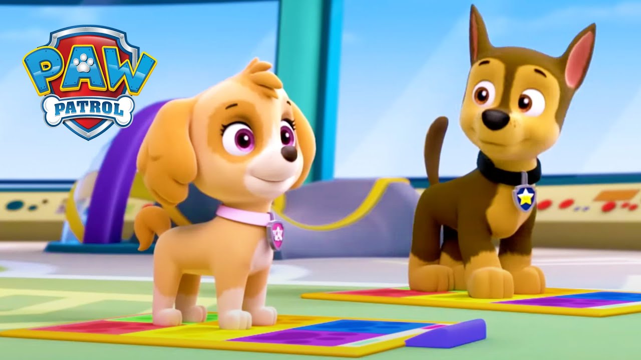 Taneční třída - Tlapková patrola PAW Patrol - pohádky pro děti