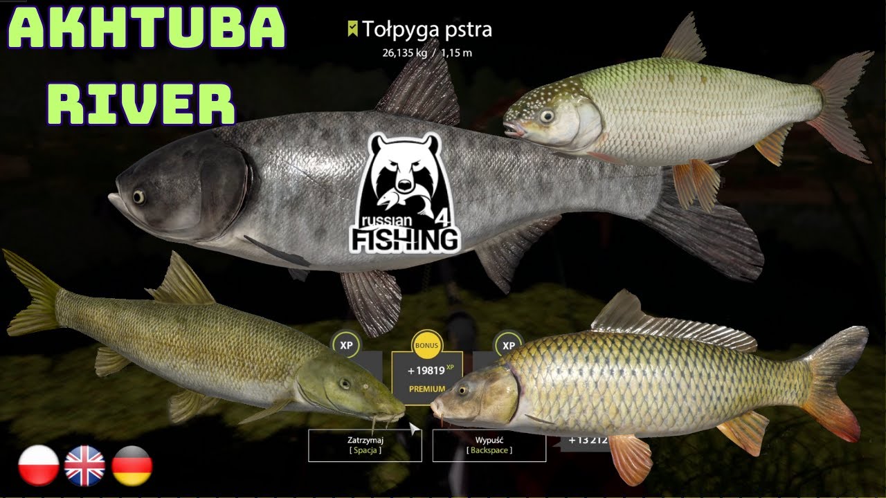 Aral Barbel Wild Carp Kutum | Akhtuba River Russian Fishing 4 (131) #mjplay