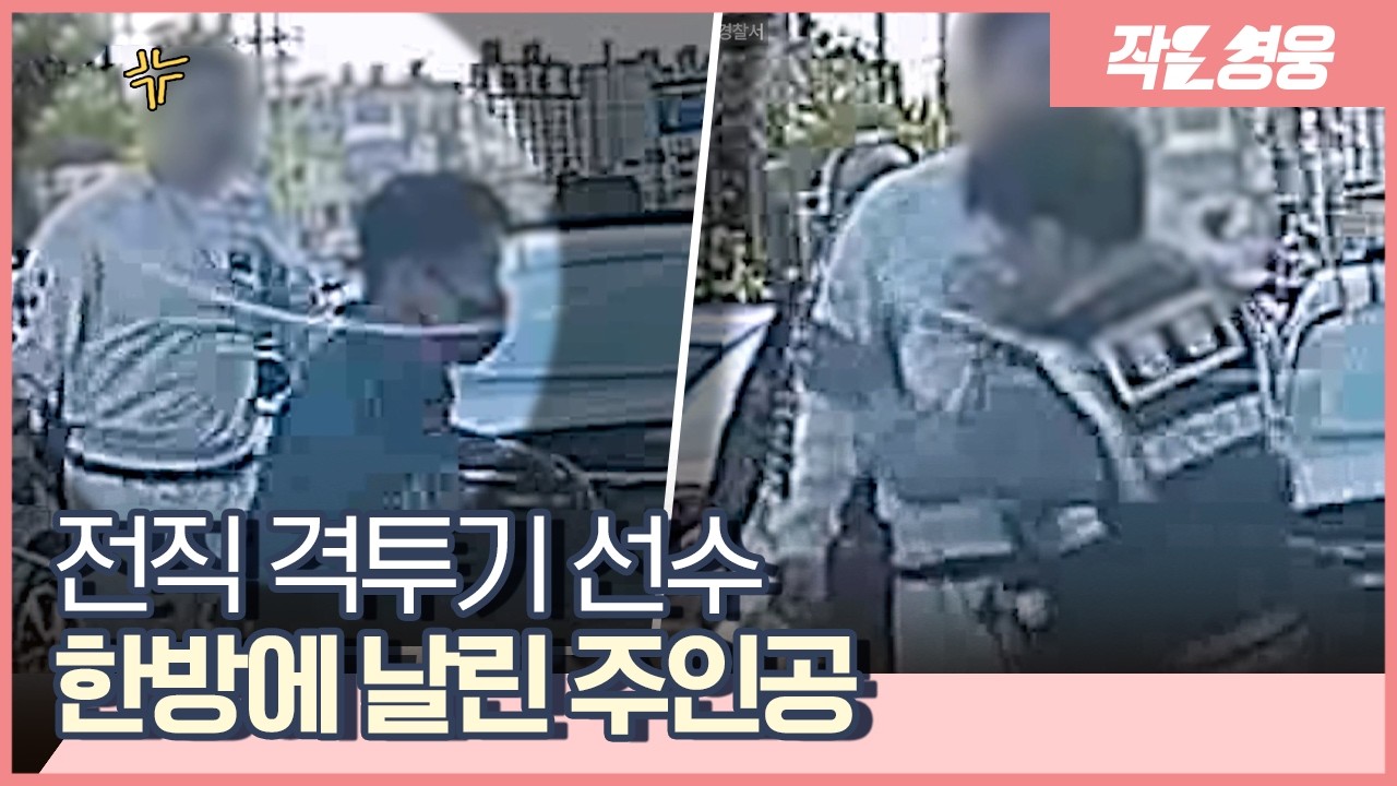 “속이 다 후련” 무법질주 만취 운전자를 한방에 응징한 영웅 [작은영웅]