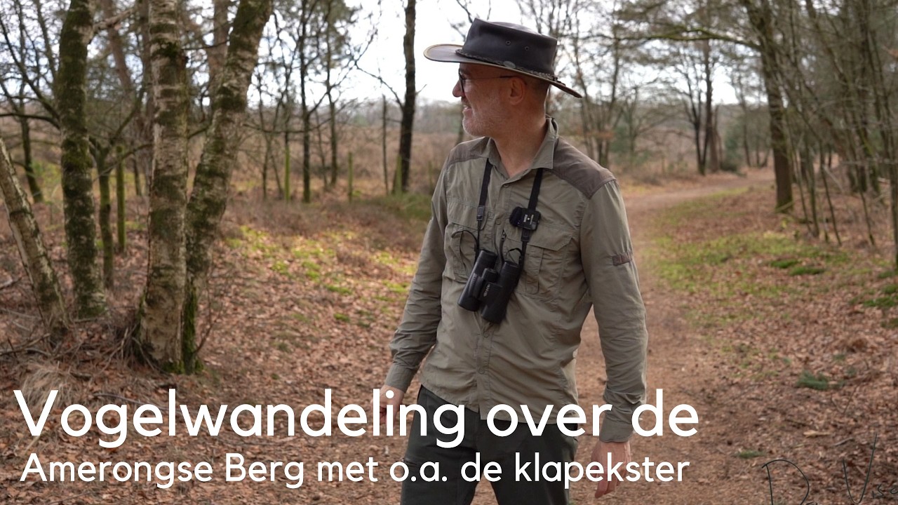 Vogels kijken op de Amerongse Berg #1737