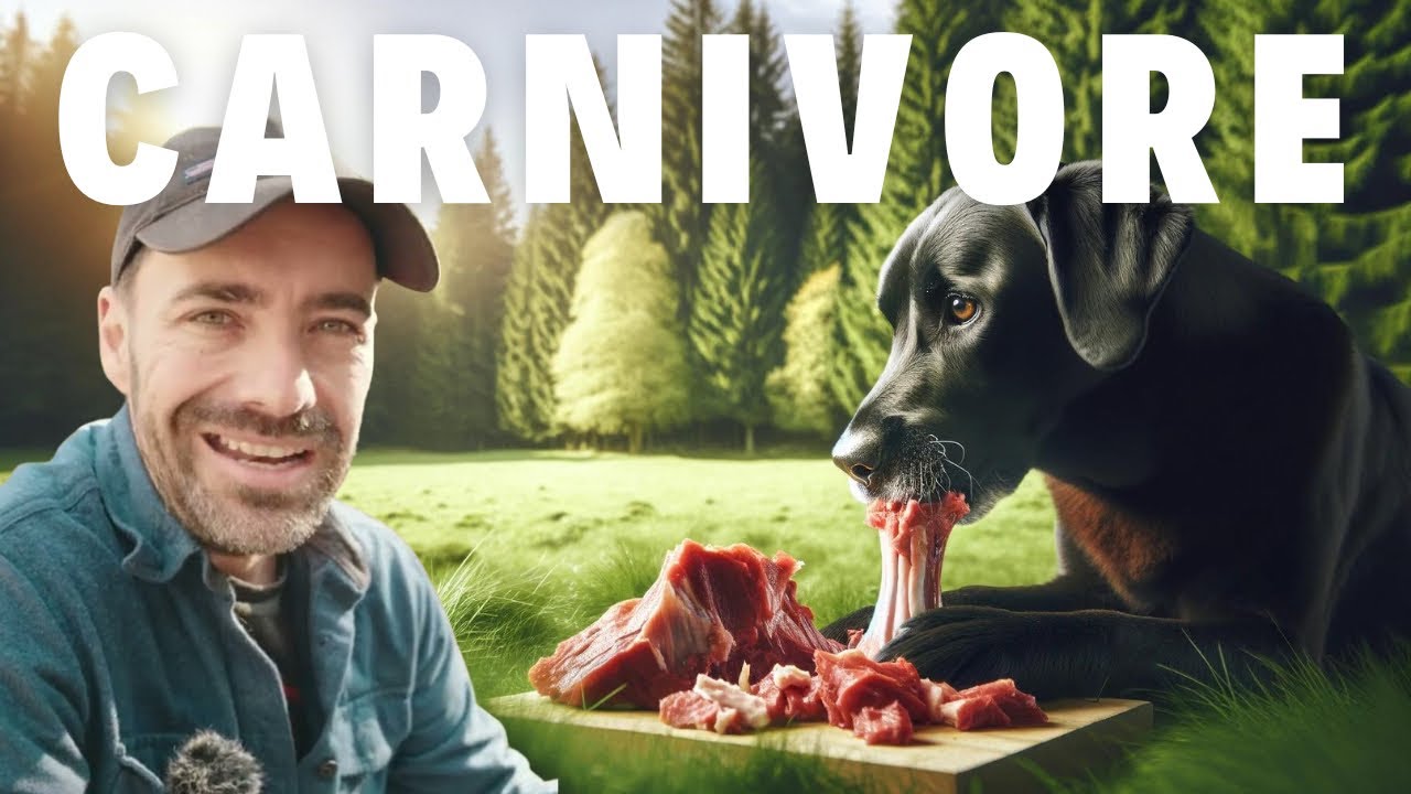 Raw Dog Food, How To! Carnivore Dogs Live Longer!
