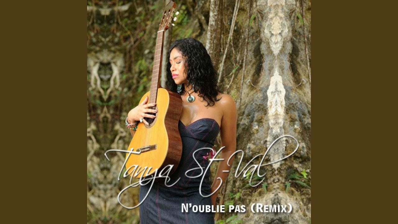 N'oublie pas (Remix)
