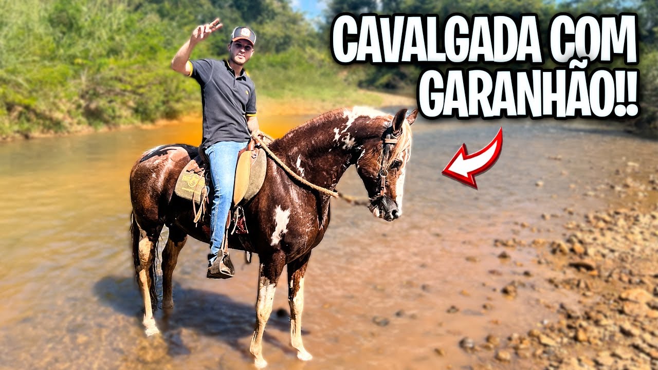 ENTRAMOS em um pasto CHEIO de ÉGUAS com os 3 GARANHOES