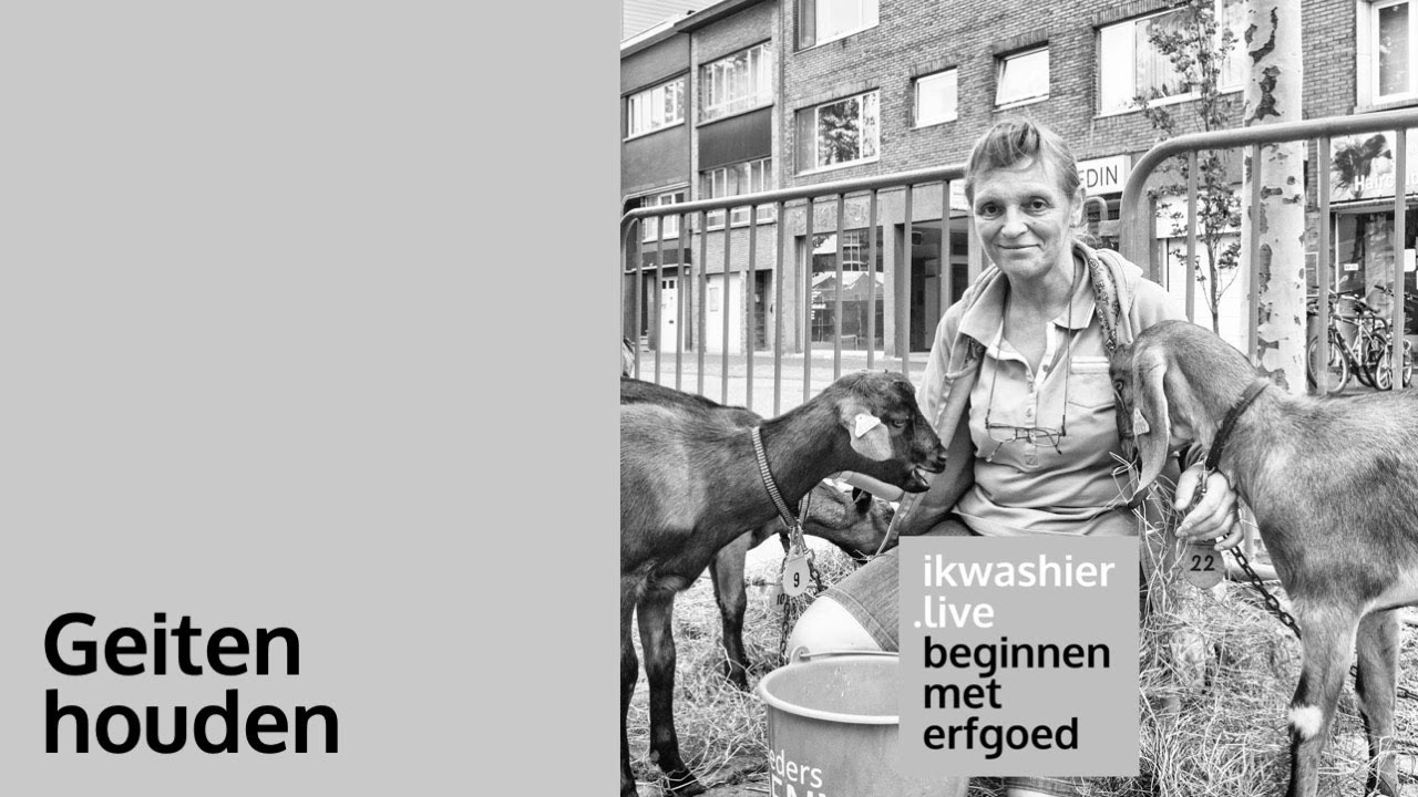 Beginnen met erfgoed 04: Geiten houden en kweken - Lieve Eeckeloo op ikwashier.live