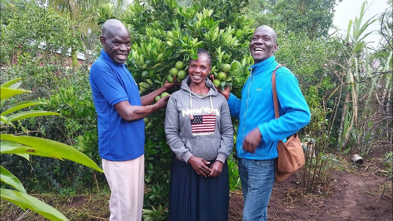 A typical Food Forest. Walk with us through Matthew Ramogi's successful Farm @jointhands