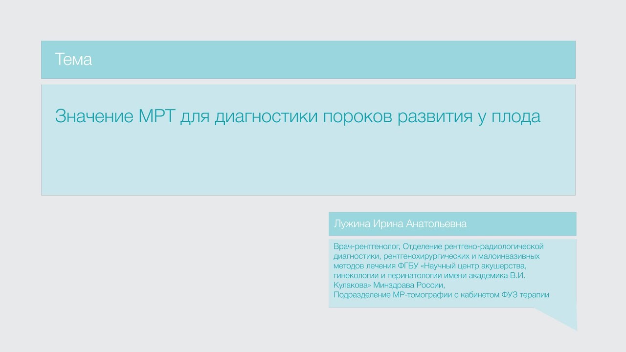 Лекция 