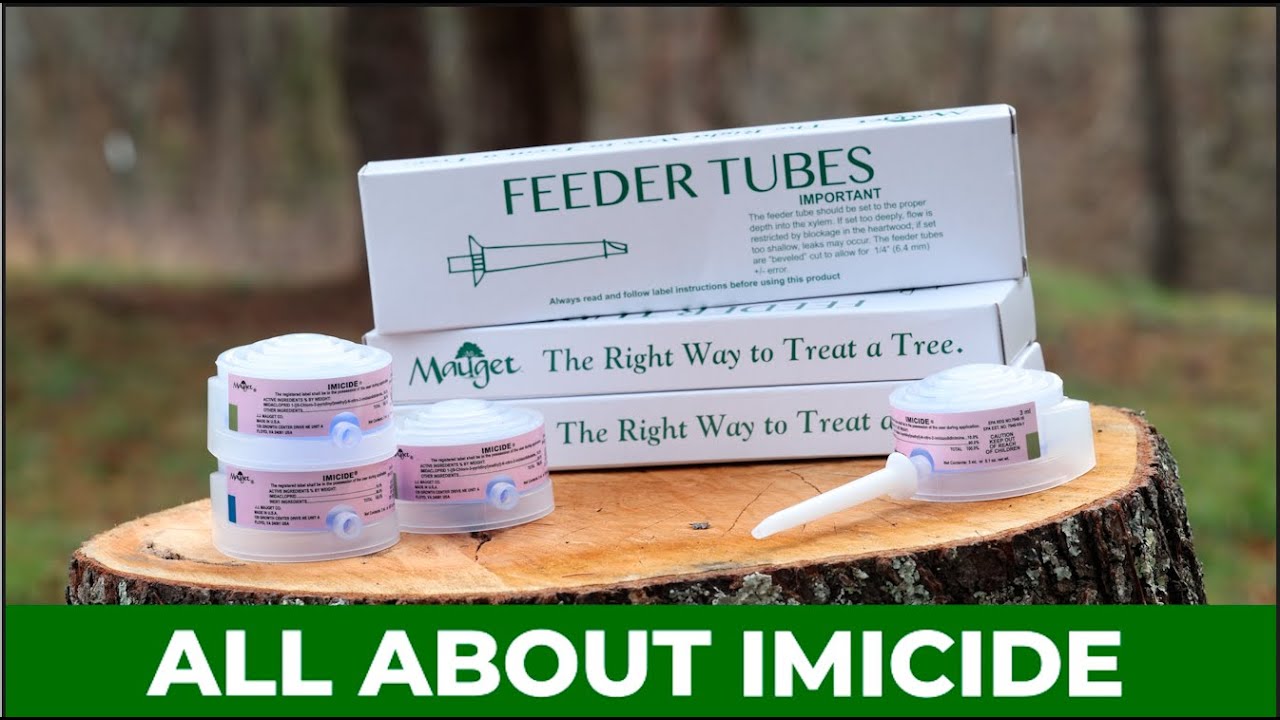 Imicide® Explained | Long-Lasting Systemic Insecticide for Tree Injection