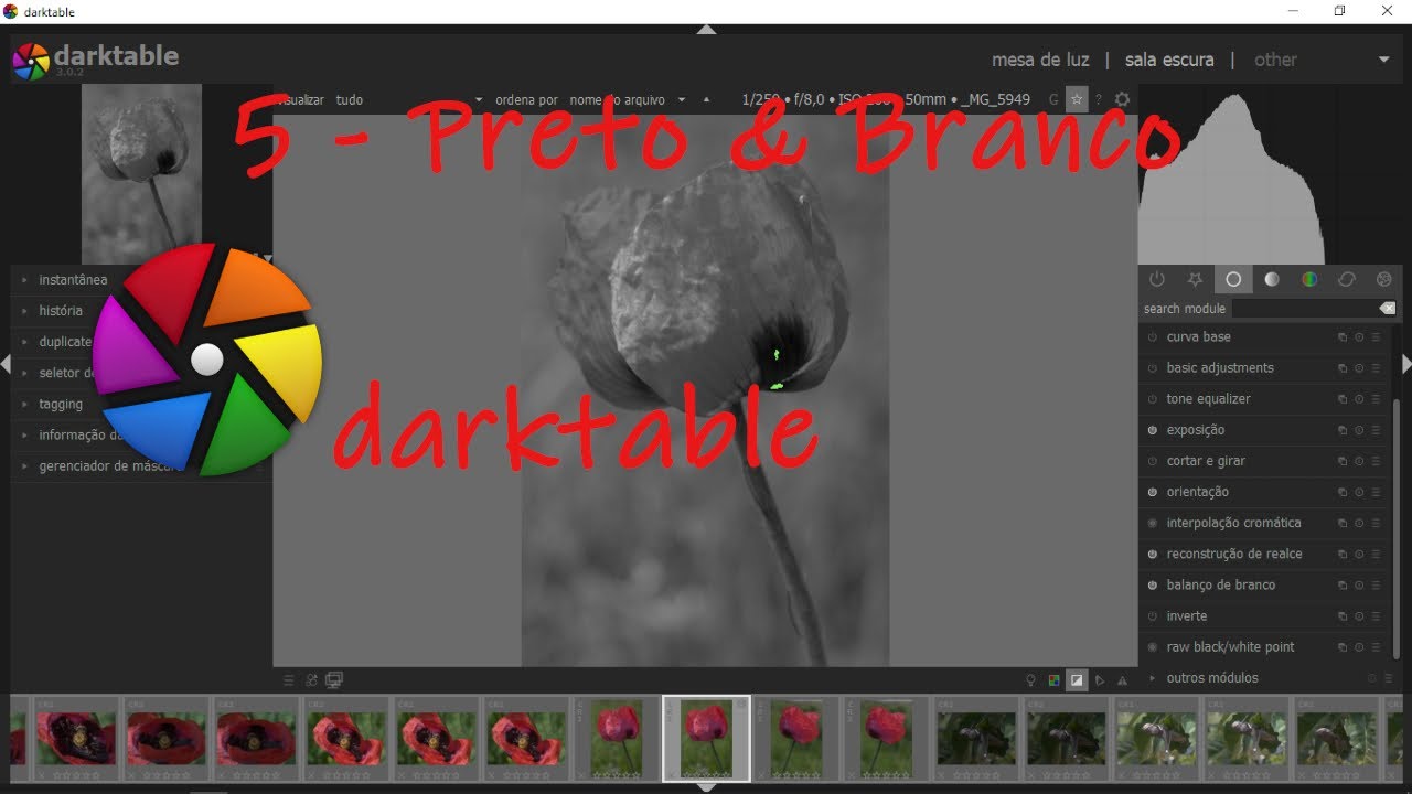 Vídeo darktable #5 Preto & Branco. 📷💻😀