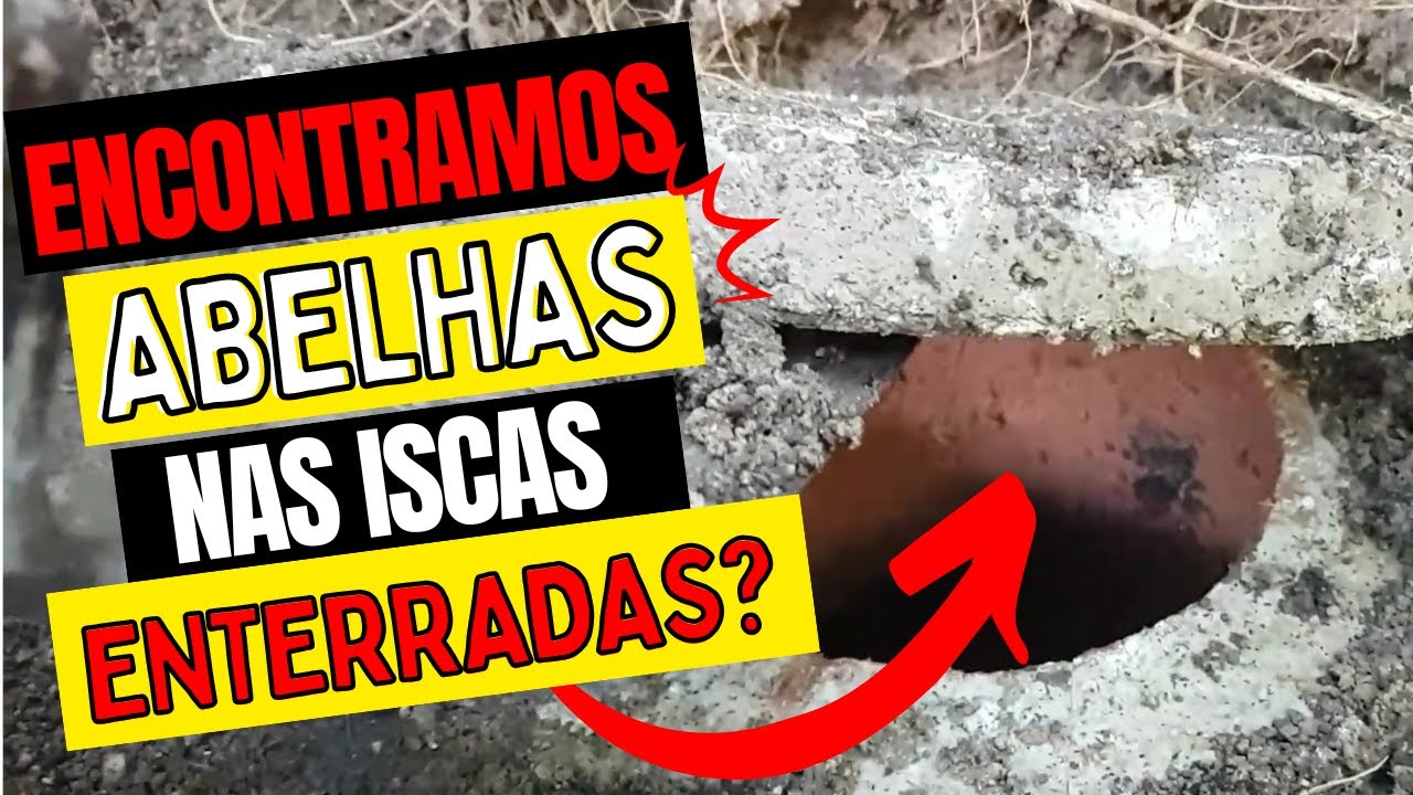 DESENTERREI a ISCA de GUIRUÇU! Deu Certo a Caixa de Barro no Subsolo?