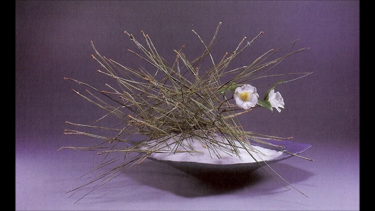 Kyo Kokubo: A Floral Tribute in Memoriam