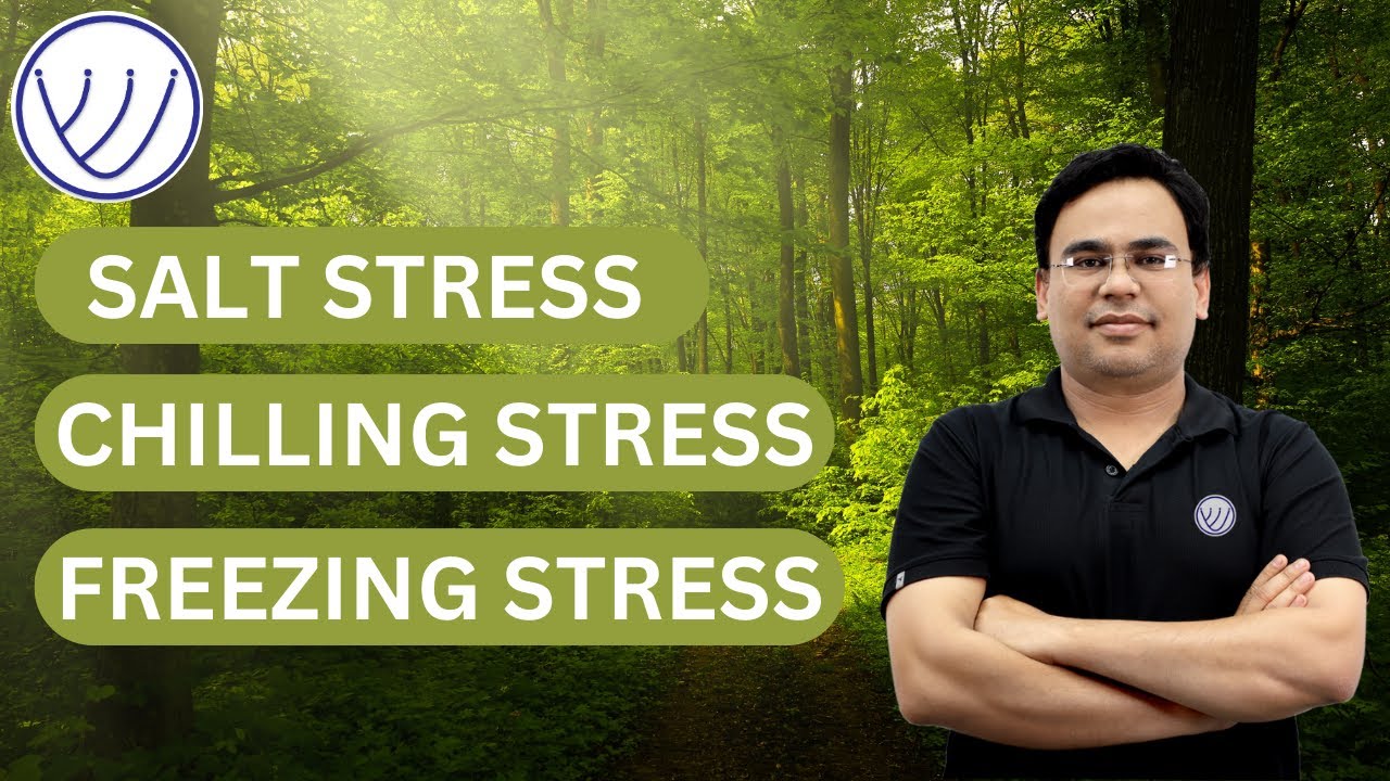 SALT STRESS | CHILLING AND FREEZING STRESS | ABIOTIC STRESS | PLANT PHYSIOLOGY | CSIR NET JRF