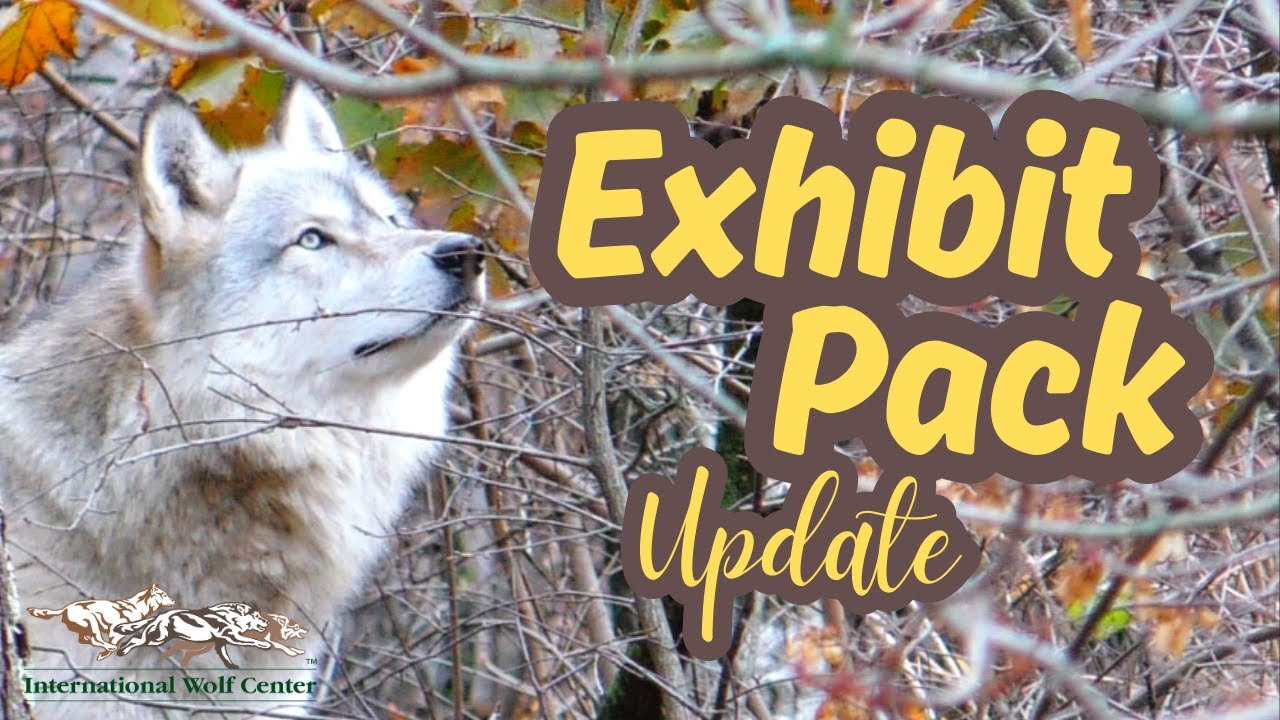 Exhibit Pack Update - 20 November 2024