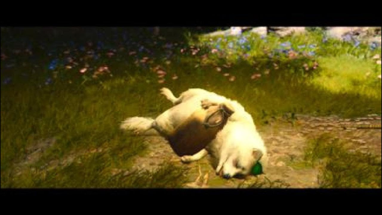 Ac Shadows  All Legendary Animals