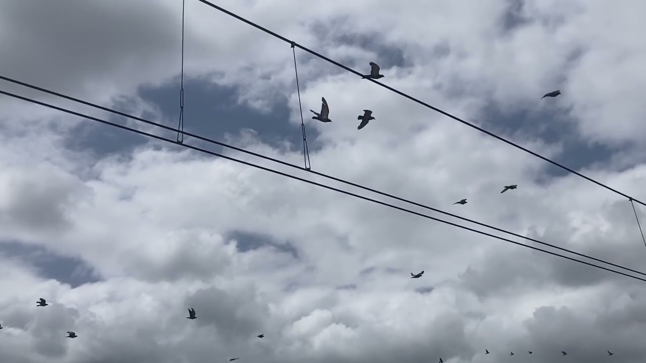 F-35 on Aus Day 2026 #2