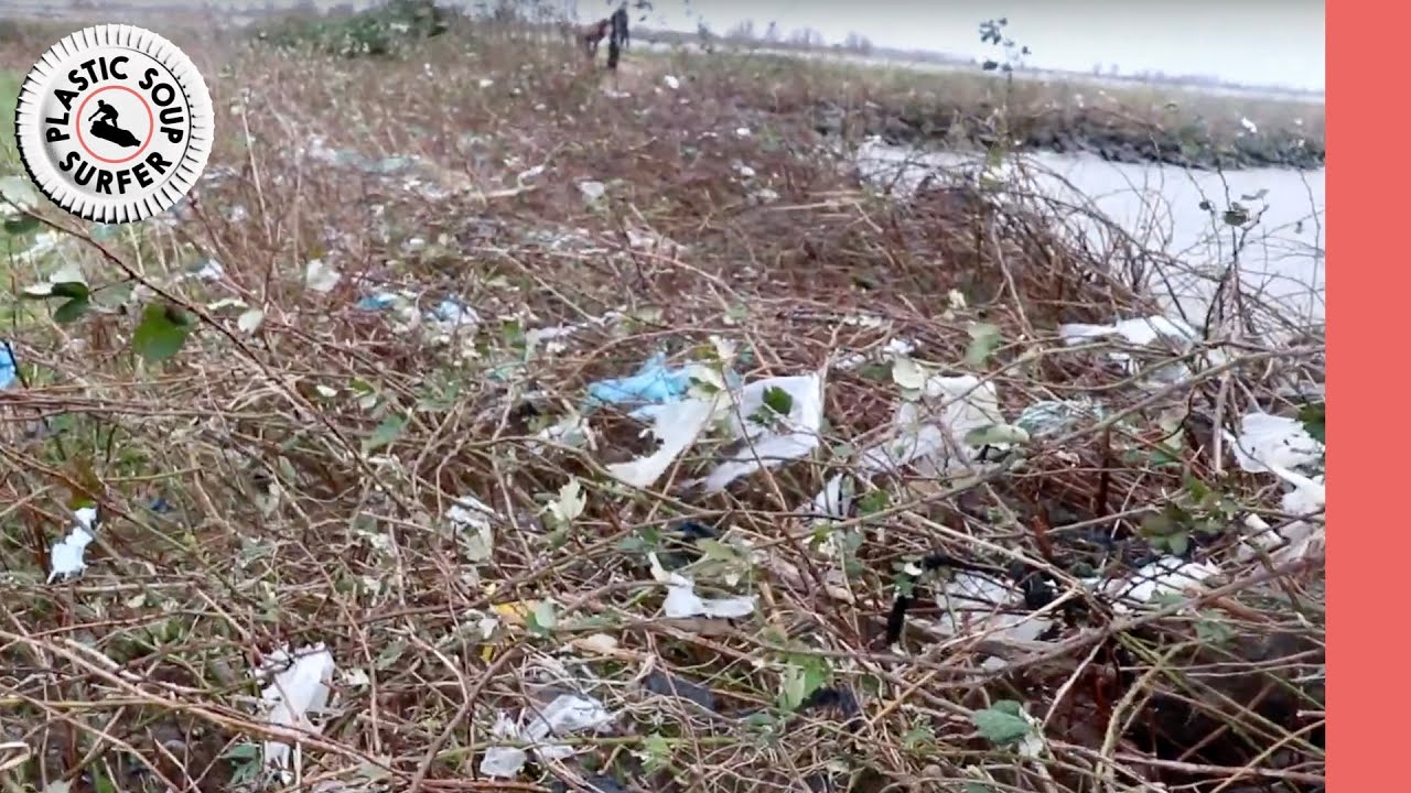 Waar ligt de PlasticSoep in Nederland? Biesbosch CleanUp met Staatsbosbeheer na overstroming.