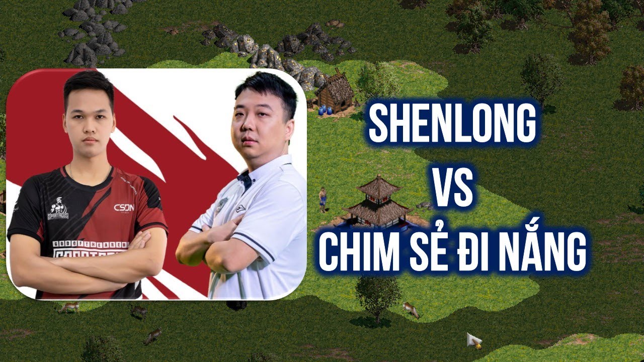 Shenlong vs Chim Sẻ Đi Nắng | Solo Assyrian | 01/01/2024 | BLV DũngVT