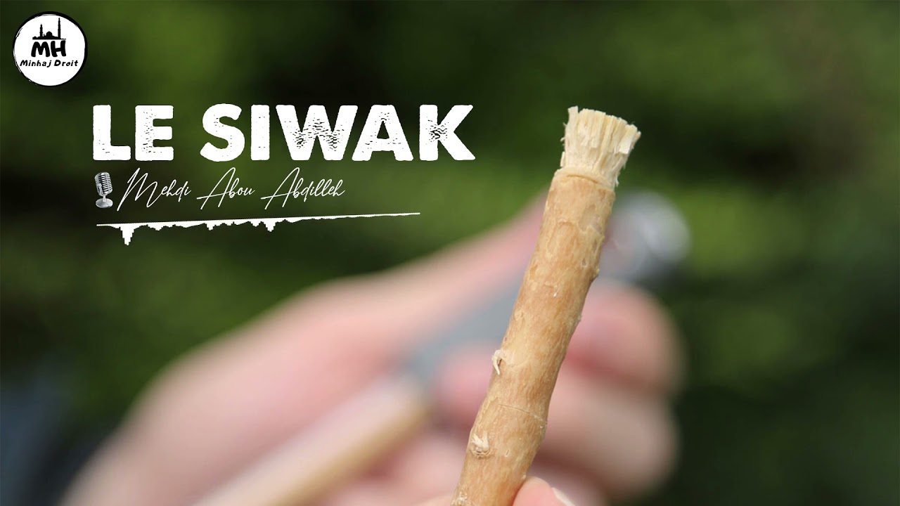 l'importance du siwak