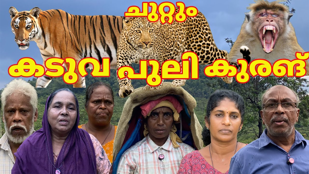 ചുറ്റും,പുലി,കടുവ,കുരങ്,ഒൻപതാം നമ്പർ നിവാസികൾക്ക് പേടിച്ച് ജീവിക്കുന്നു #elephant #leopard #wayanad